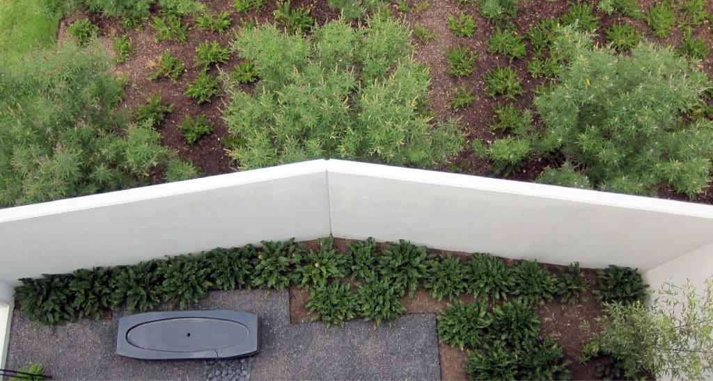 03-Image-01 03 Image 01