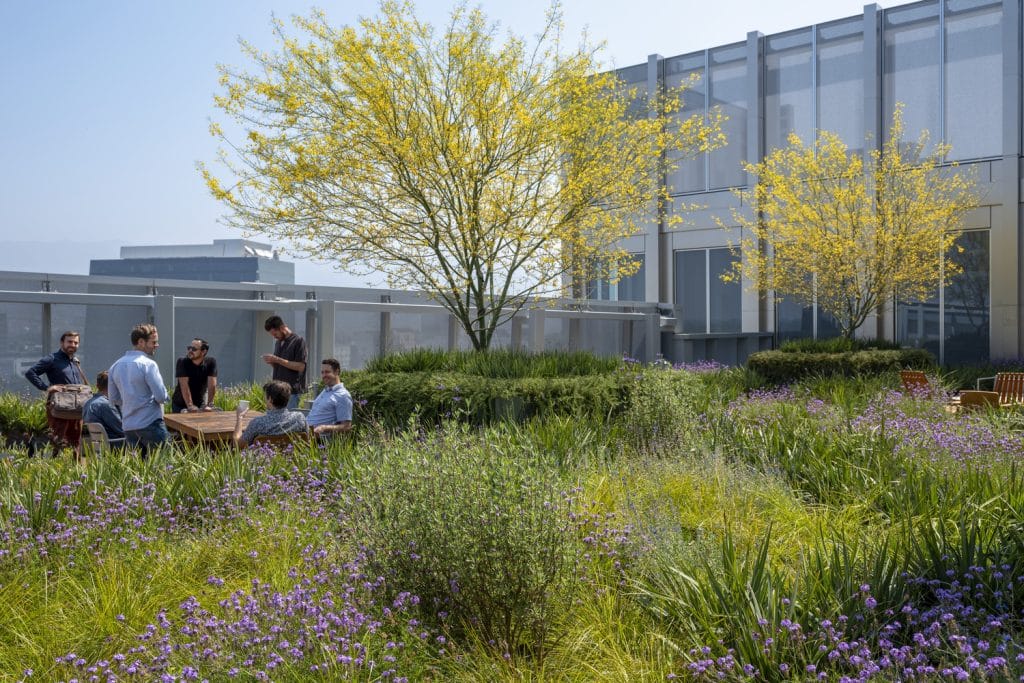 BR_STL_N24_medium BR_STL_N24_medium