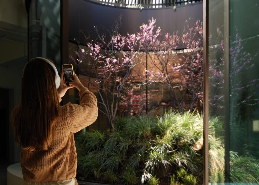 TO-WIL - 9720 Wilshire Boulevard - 07 TO WIL 9720 Wilshire Boulevard 07