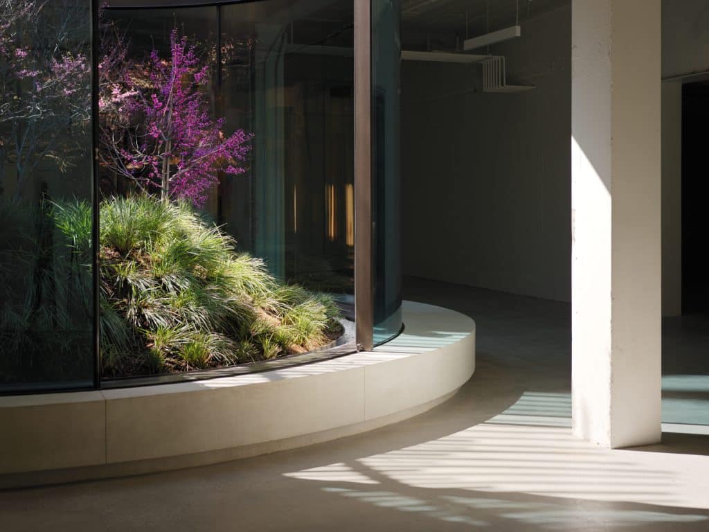 TO-WIL - 9720 Wilshire Boulevard - 08 Modern interior with curved glass wall, leafy plant, and purple flowers. Sunlight casts shadows on concrete floor.