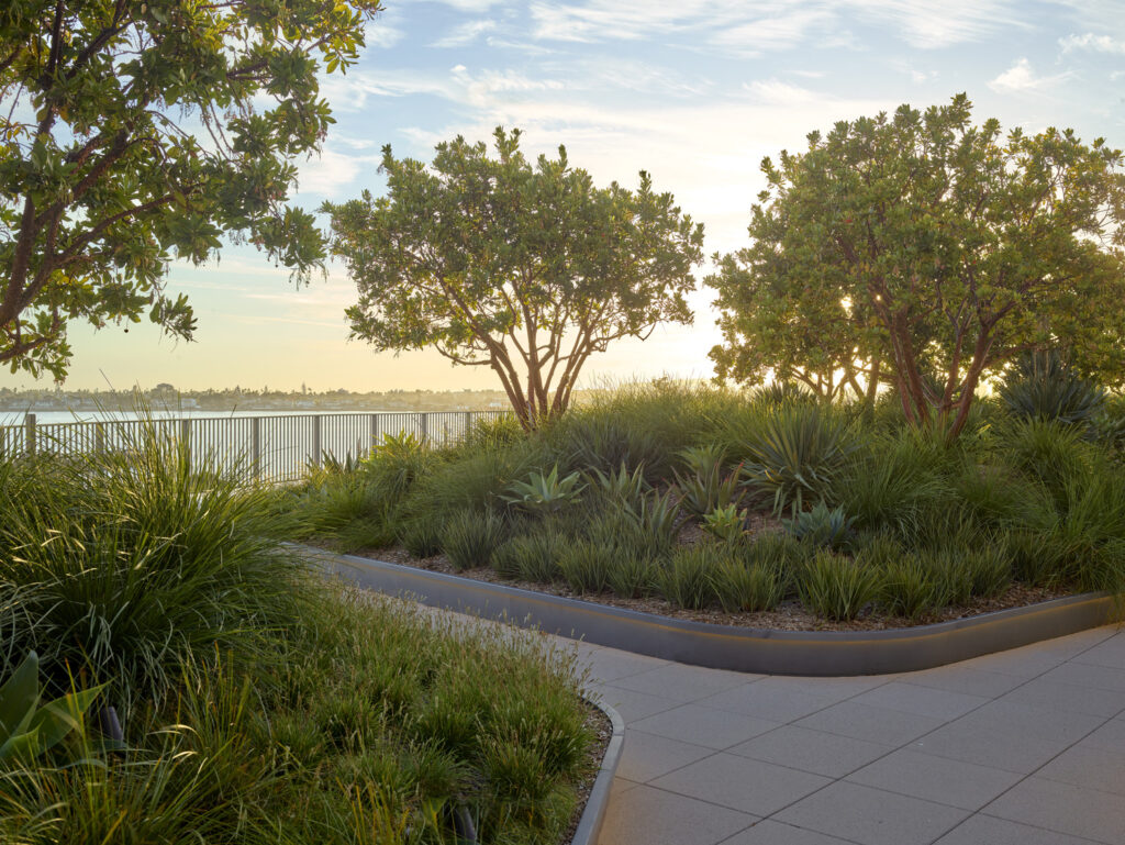 OJB San Diego OJB San Diego