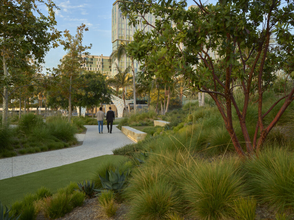 OJB San Diego OJB San Diego