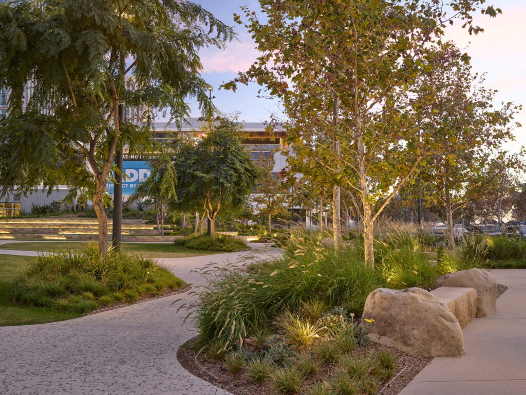 OJB San Diego OJB San Diego