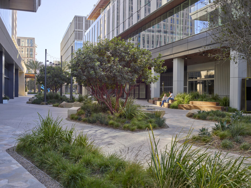 OJB San Diego OJB San Diego