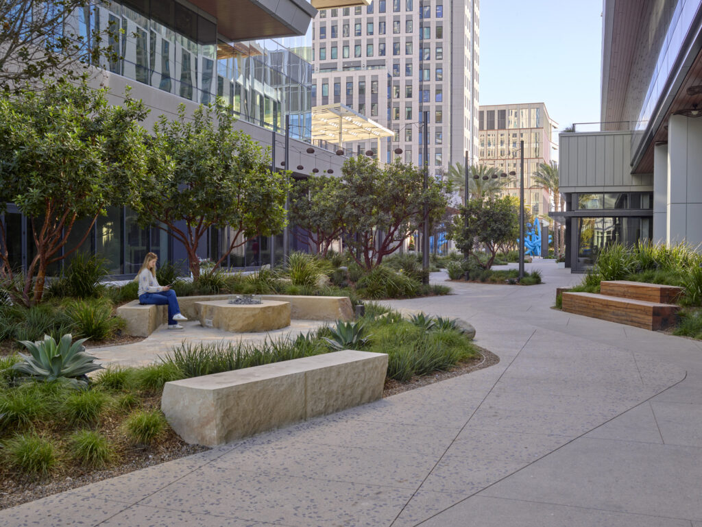 OJB San Diego OJB San Diego