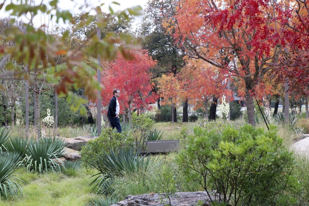 AA_WHQ_N100_medium AA_WHQ_N100_medium