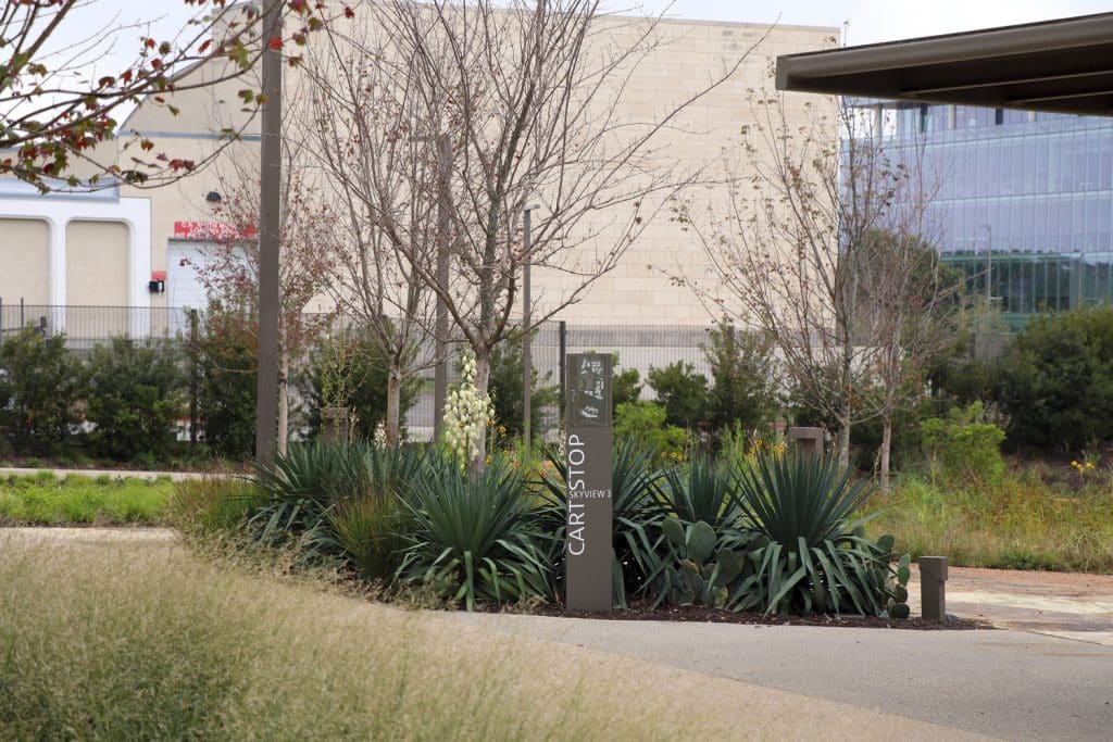 AA_WHQ_N102_medium AA_WHQ_N102_medium