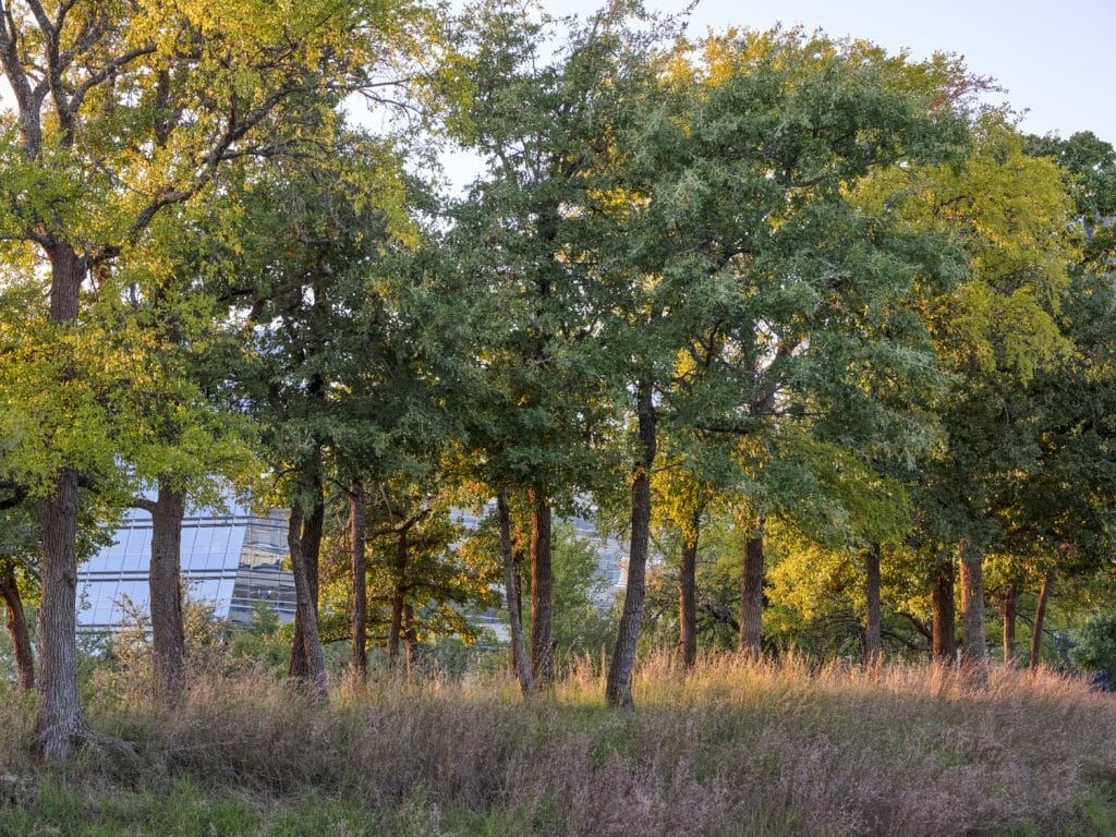 AA_WHQ_N67_medium AA_WHQ_N67_medium