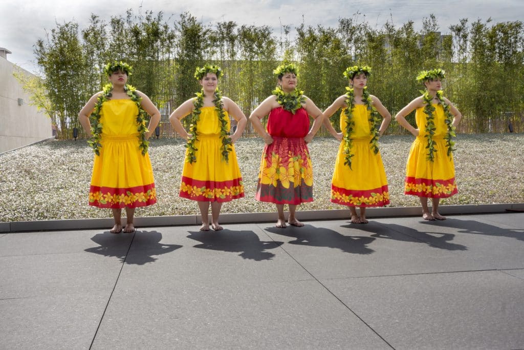 AH_HOU_N3_medium AH_HOU_N3_medium