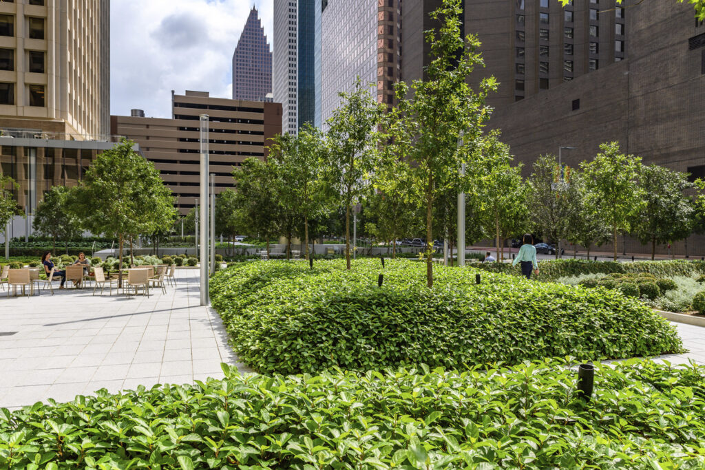 AL_CNT_N16_medium AL_CNT_N16_medium