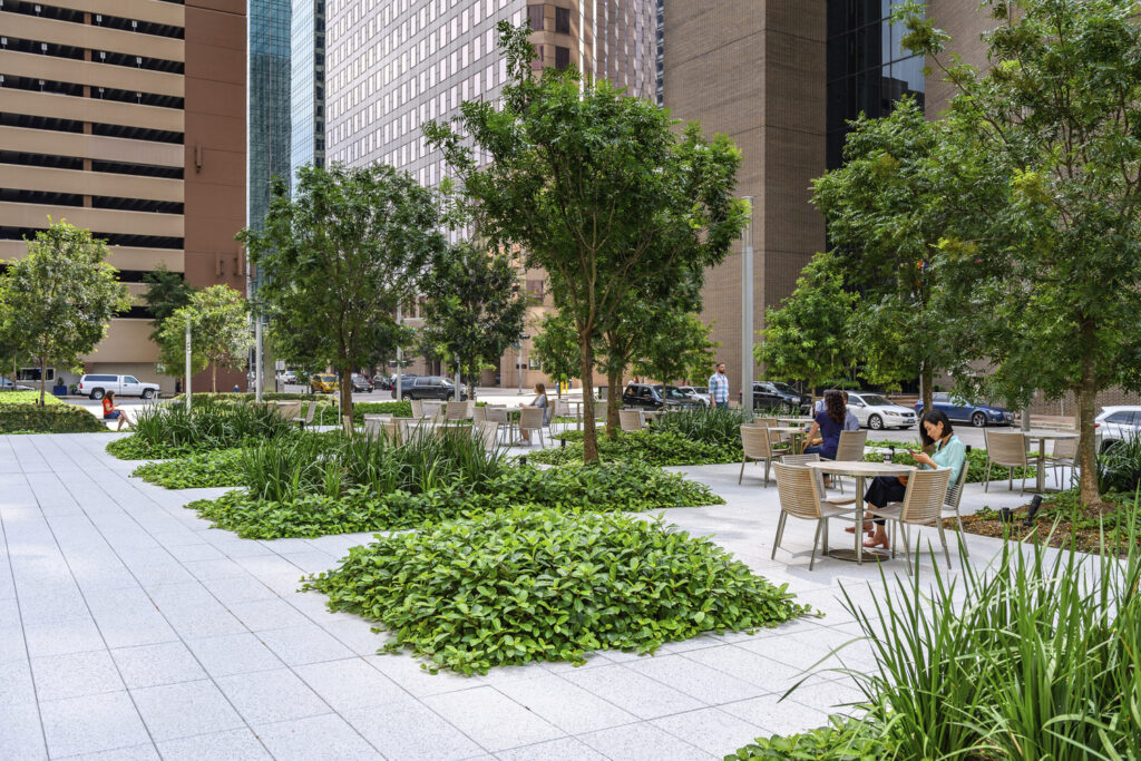 AL_CNT_N19_medium AL_CNT_N19_medium