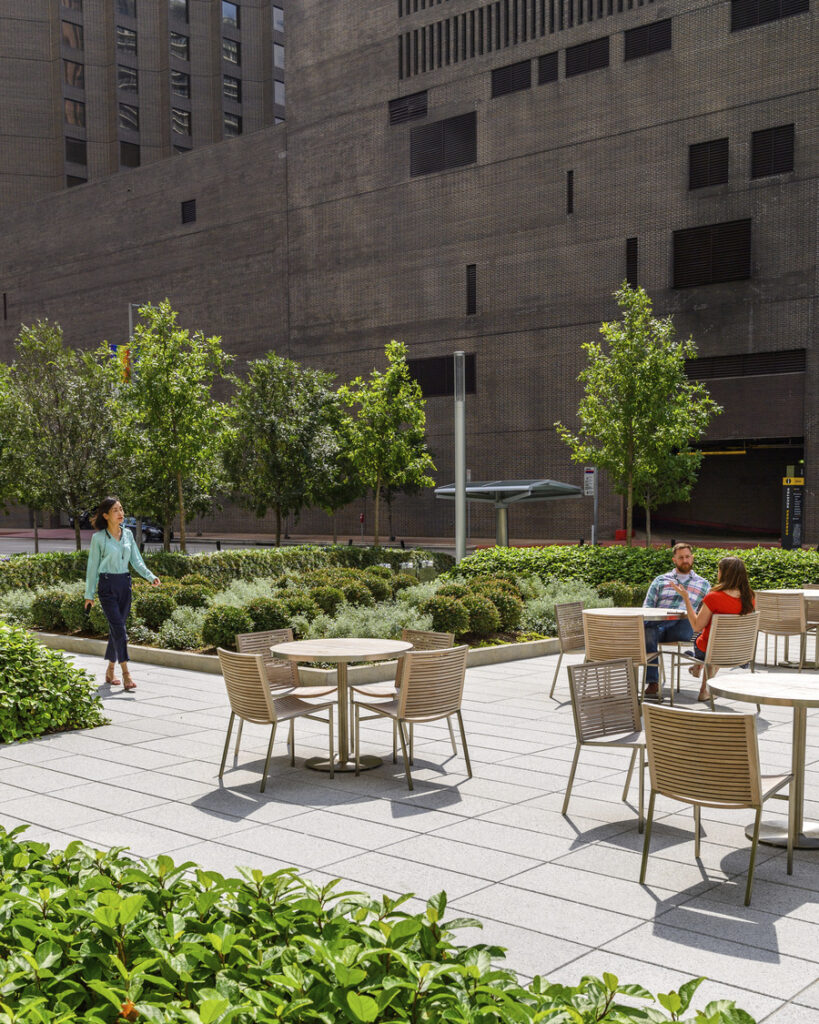 AL_CNT_N20_medium AL_CNT_N20_medium