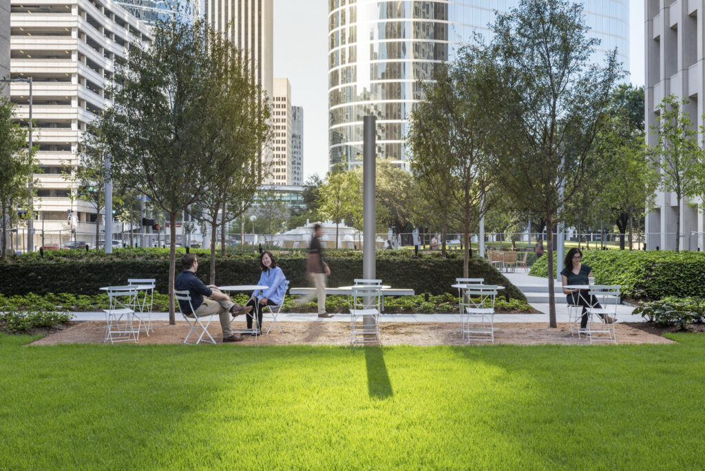 AL_CNT_N31_medium AL_CNT_N31_medium