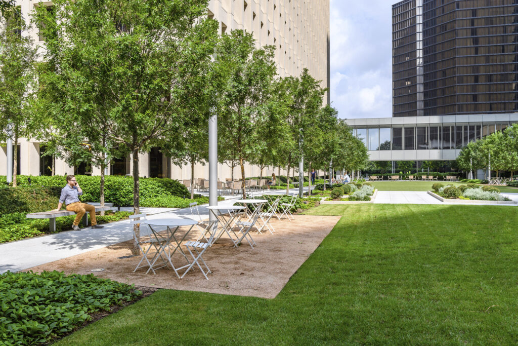 AL_CNT_N43_medium AL_CNT_N43_medium