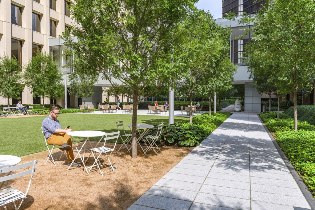 AL_CNT_N4_medium AL_CNT_N4_medium