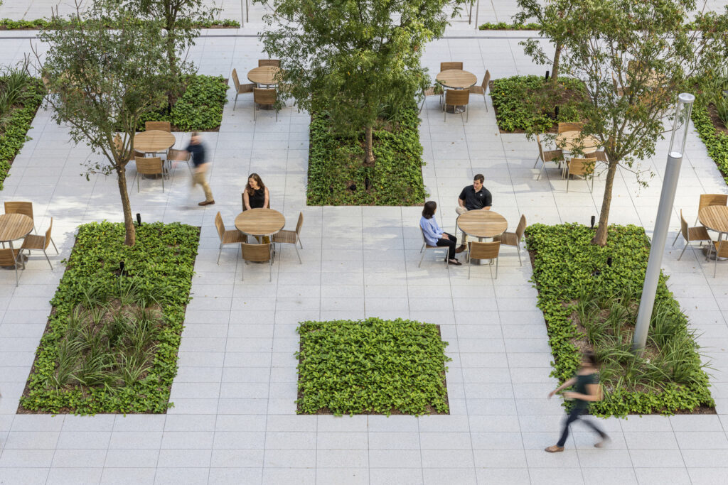 AL_CNT_N7_medium AL_CNT_N7_medium