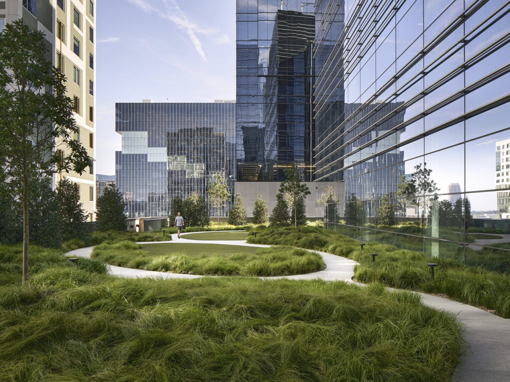 AT_PJF_N29_medium AT_PJF_N29_medium