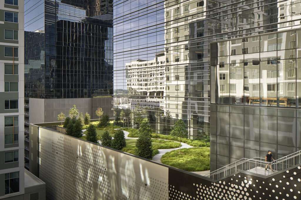 AT_PJF_N30_medium AT_PJF_N30_medium