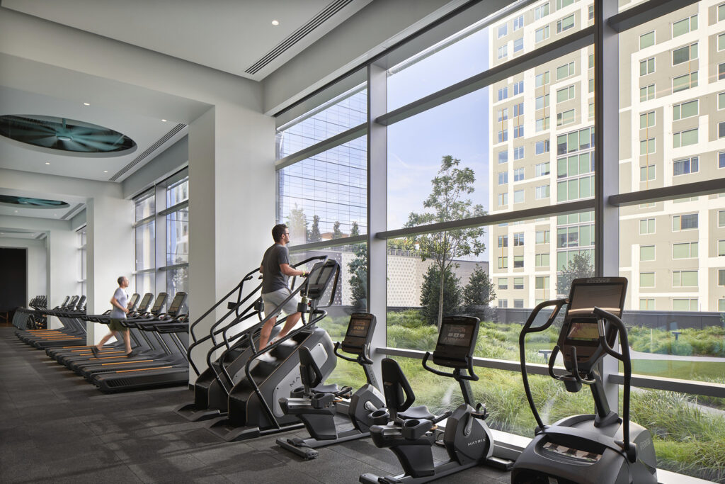 AT_PJF_N31_medium AT_PJF_N31_medium