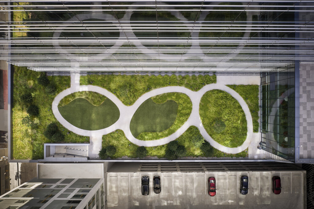 AT_PJF_N33_medium AT_PJF_N33_medium