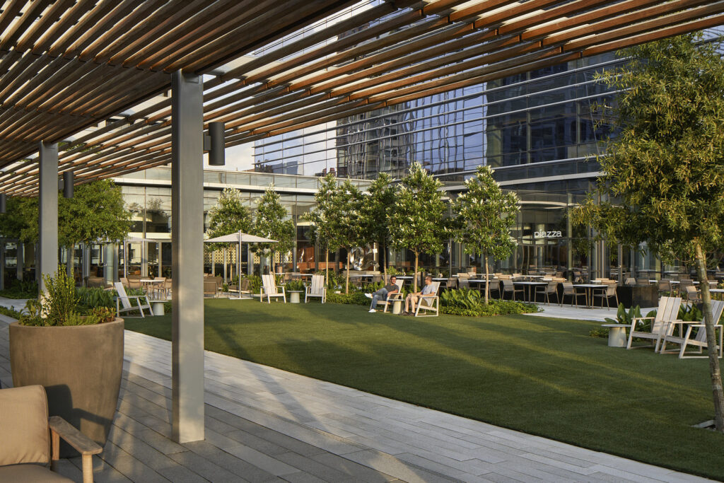 AT_PJF_N37_medium AT_PJF_N37_medium