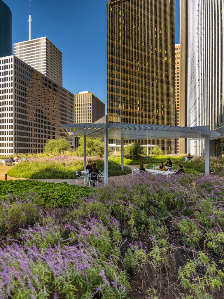 Bank of America Tower - Roof Garden - Houston, TX 102219 Bank of America Tower Roof Garden Houston, TX 102219