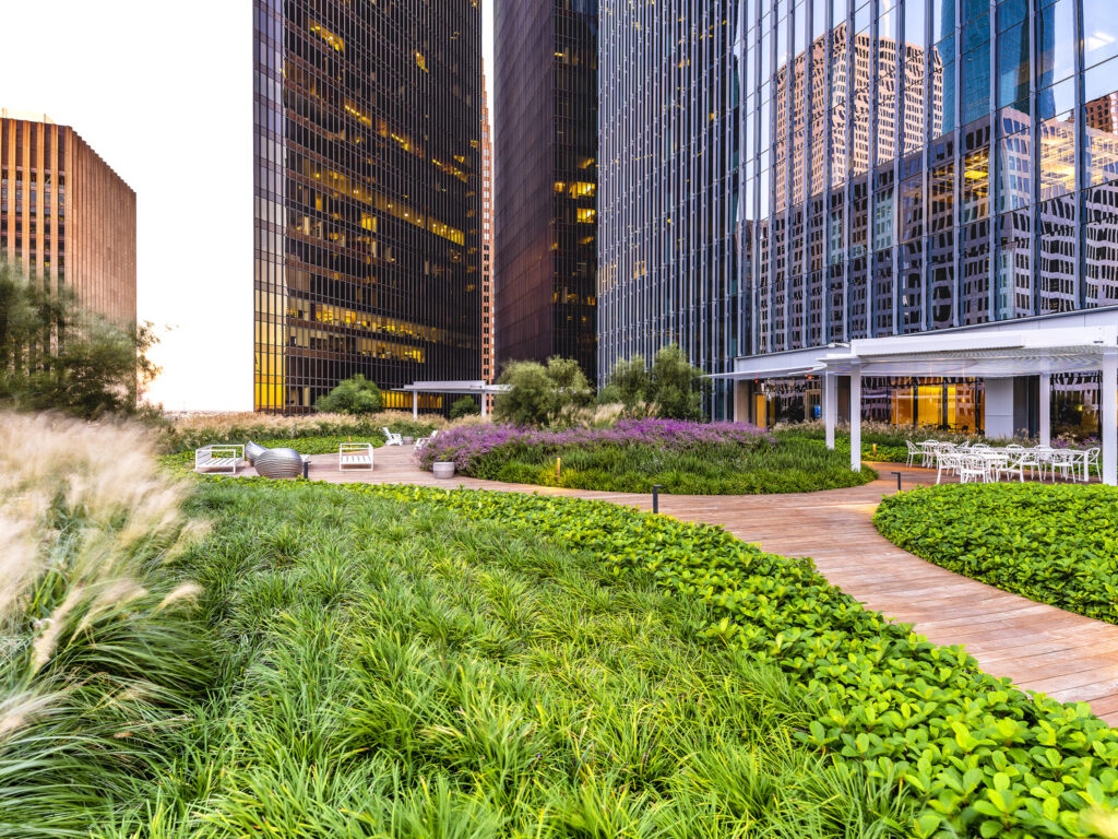 Bank of America Tower - Roof Garden - Houston, TX 102219 Bank of America Tower Roof Garden Houston, TX 102219