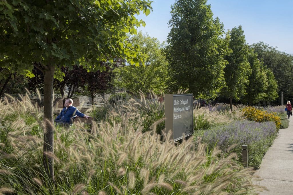 CH_CIN_N12_medium CH_CIN_N12_medium