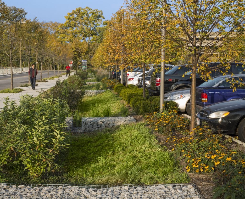 CH_CIN_N13_medium CH_CIN_N13_medium