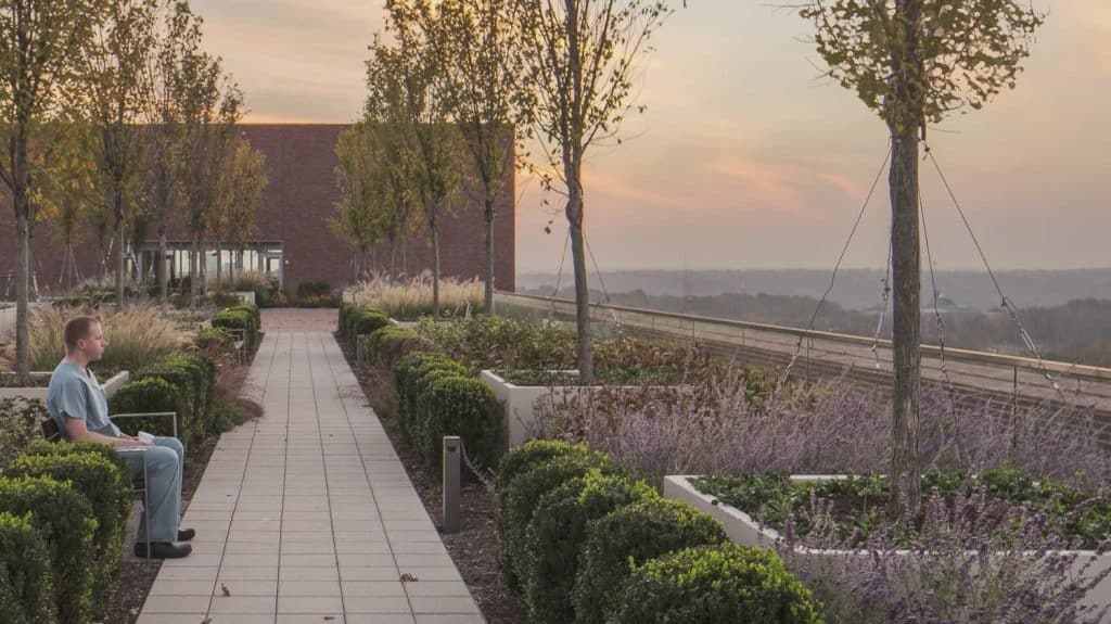 CH_CIN_N21_medium CH_CIN_N21_medium