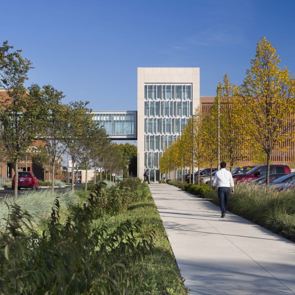 CH_CIN_N3_medium CH_CIN_N3_medium