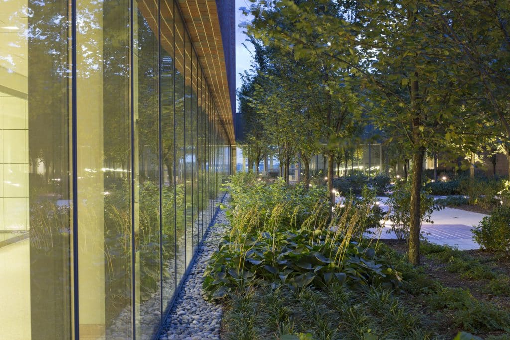 CH_CIN_N6_medium CH_CIN_N6_medium