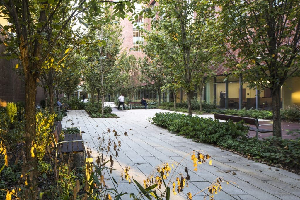 CH_CIN_N8_medium CH_CIN_N8_medium