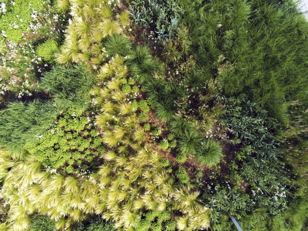 AnafiUSA 1.7.8 AnafiUSA 1.7.8