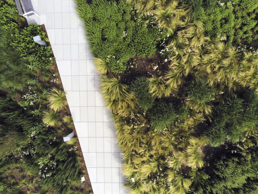 AnafiUSA 1.7.8 AnafiUSA 1.7.8