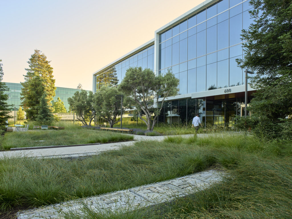 IC_PPK_N40_medium IC_PPK_N40_medium