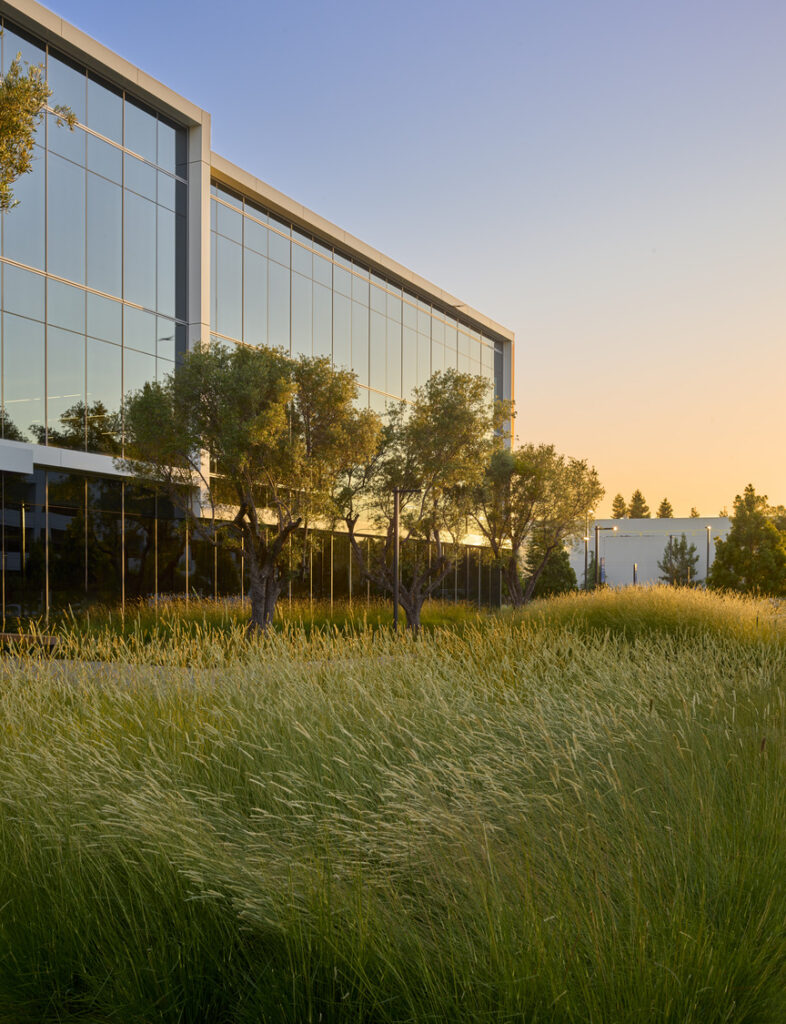 IC_PPK_N44_medium IC_PPK_N44_medium