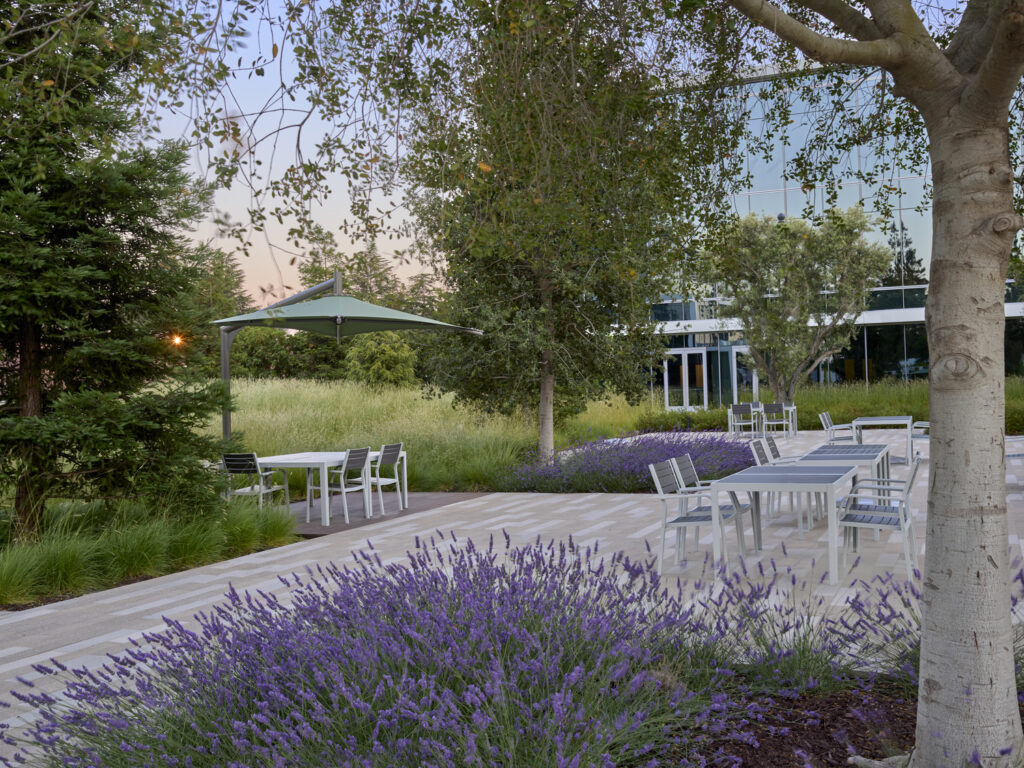 IC_PPK_N48_medium IC_PPK_N48_medium