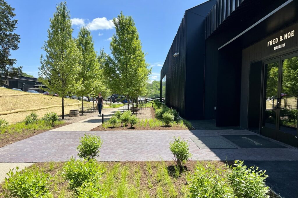 JB_DCO_N147_medium JB_DCO_N147_medium