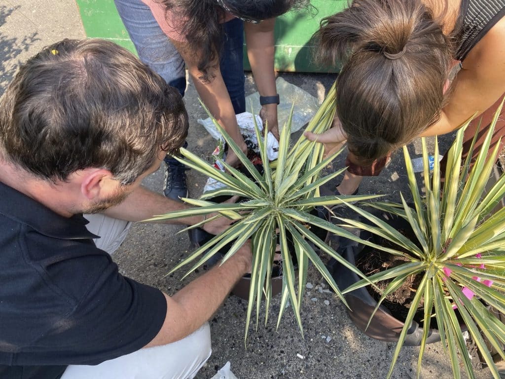 LAB_LAF_LAB_LAF_N6_medium LAB_LAF_LAB_LAF_N6_medium