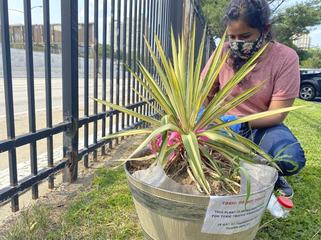 LAB_LAF_LAB_LAF_N7_medium LAB_LAF_LAB_LAF_N7_medium