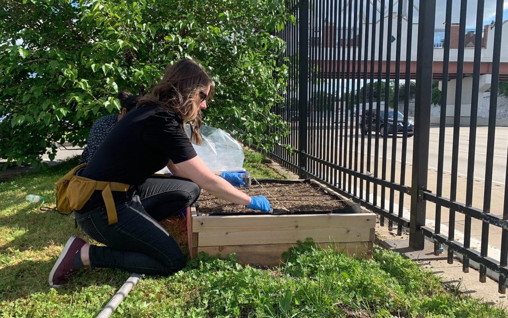 LAF-Research-Grant_Header LAF Research Grant_Header