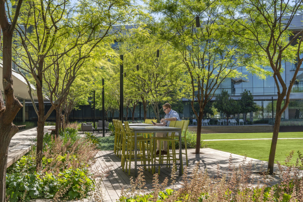 LJ_BIC_N31_medium LJ_BIC_N31_medium