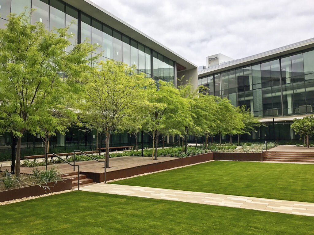 LJ_BIC_N8_medium LJ_BIC_N8_medium