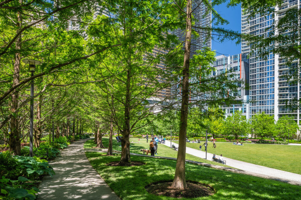 LK-SHE-32-Serhii Chrucky-RENEW Aug 2025-MED LK SHE 32 Serhii Chrucky RENEW Aug 2025 MED