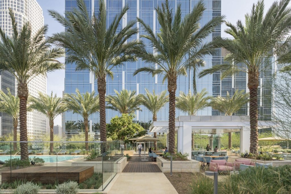 MT_gallery_2 MT_gallery_2