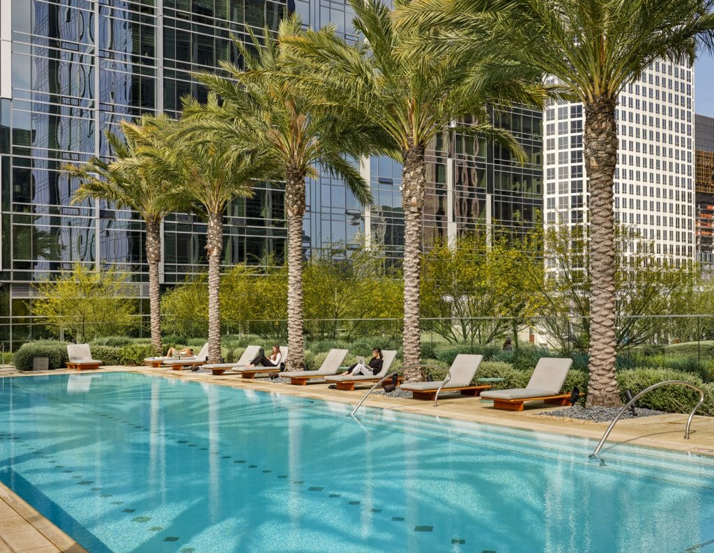 MT_intro_landscape-1 MT_intro_landscape 1