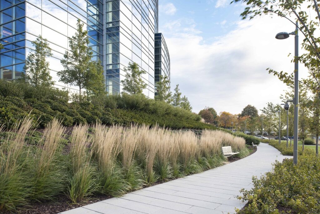 IAN PATZKE +1414.5075504 IAN PATZKE +1414.5075504