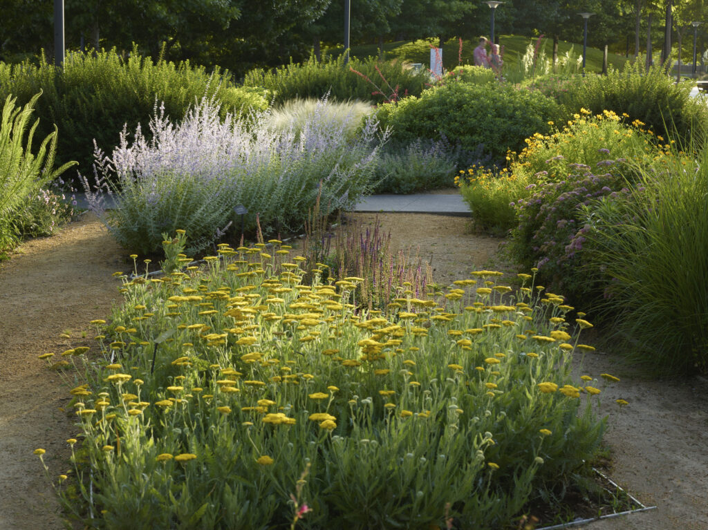 The Office of James Burnett; OJB The Office of James Burnett; OJB