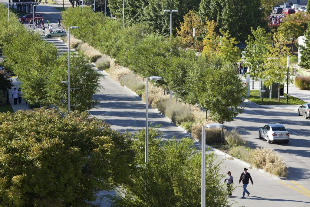 The Office of James Burnett; OJB